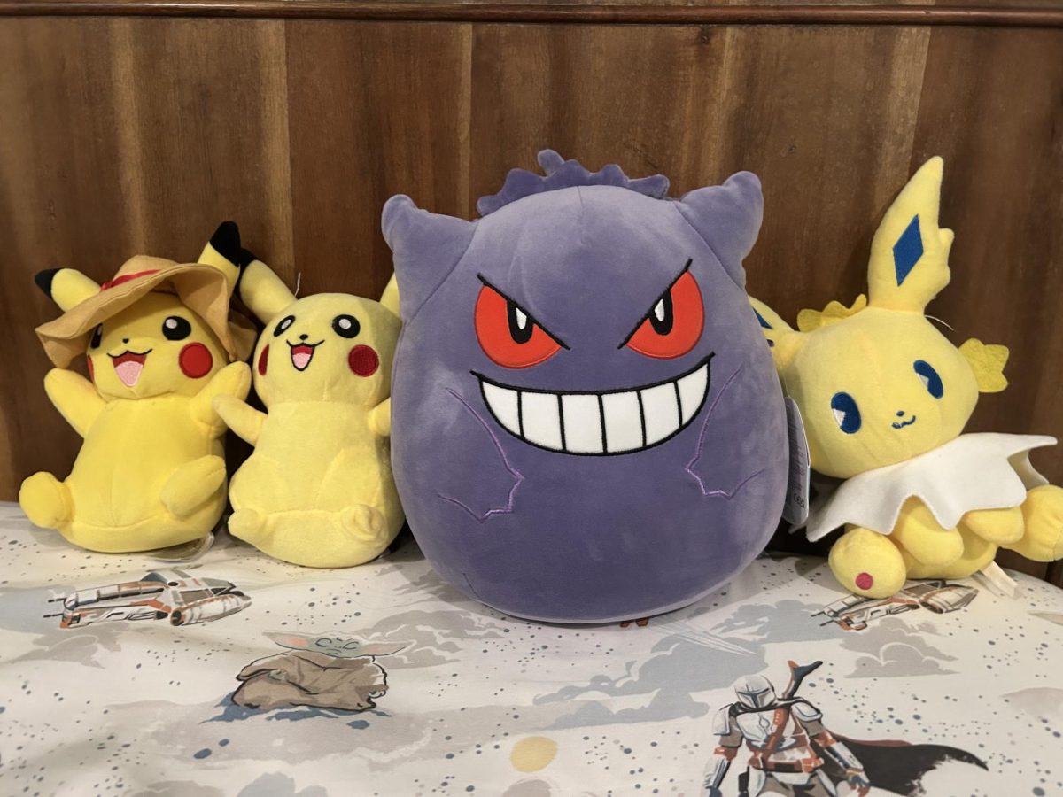 My armada of Pokemon plushies.