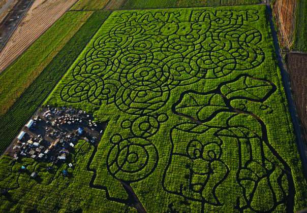 swank+farms+maze_0