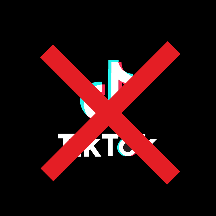 no+tik+tok+logo
