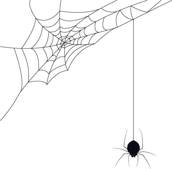 Spider graphic