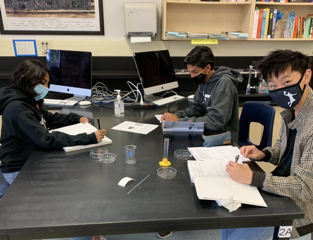 Junior Jeremy Lu (bottom right) works on the lab report for a candy chromatography lab with his group members