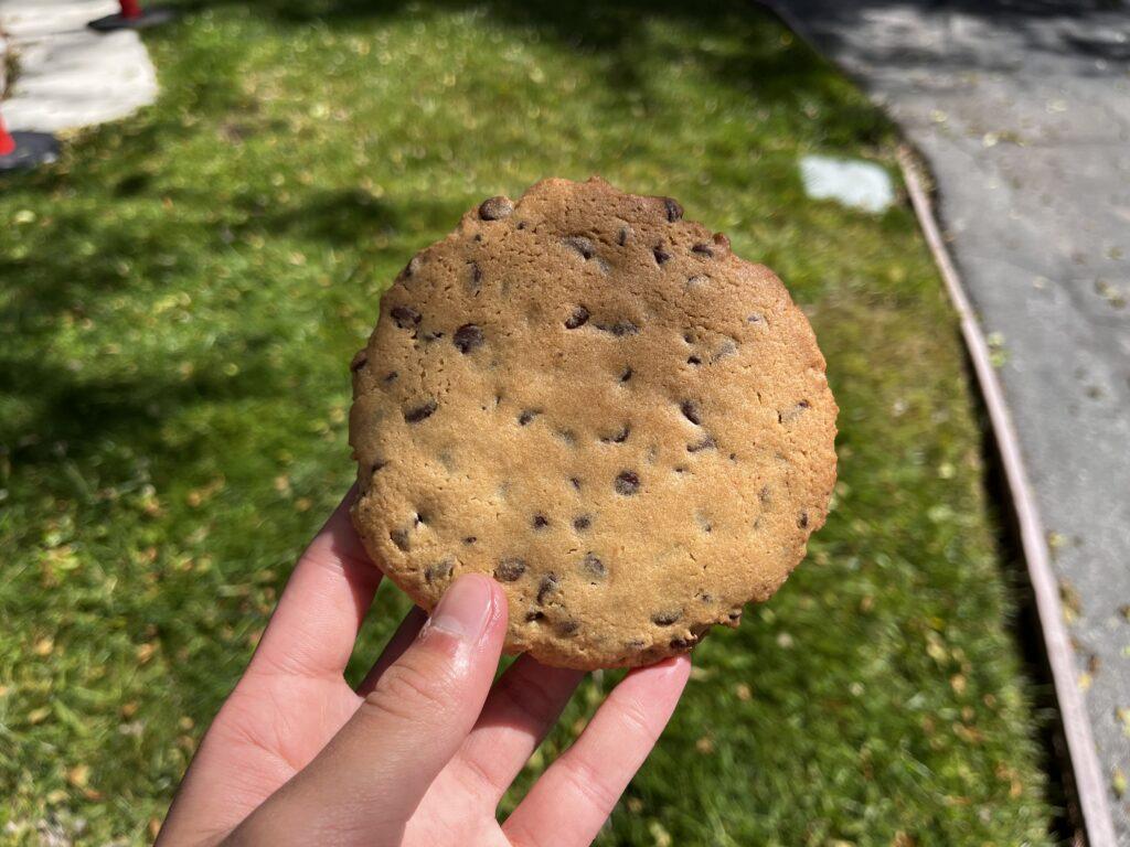 This cookie felt and tasted like a stale Chips Ahoy! cookie.