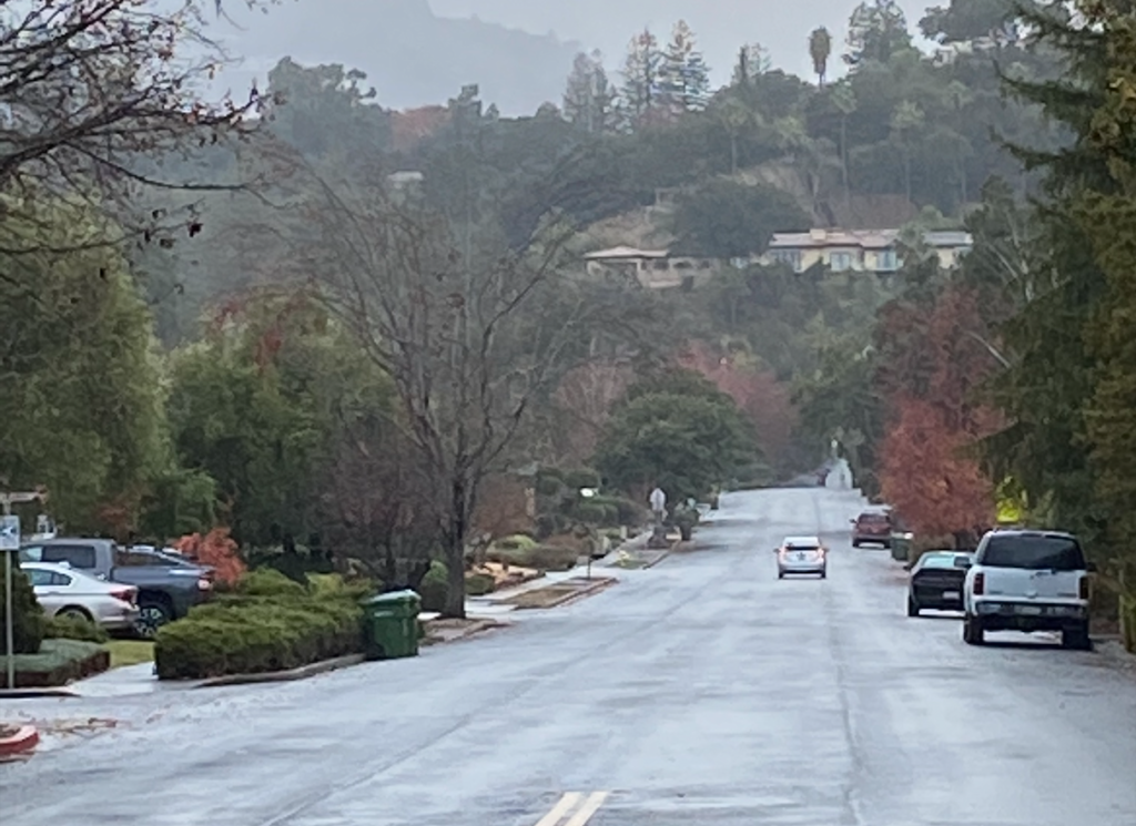 A photo of a dreary-looking neighborhood in Saratoga from one of my walks.