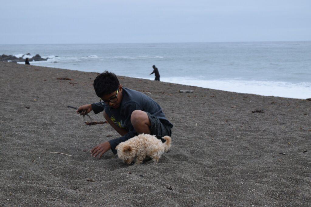 The beaches at Cambria are beautiful places to enjoy with your family and fuzzy friends.