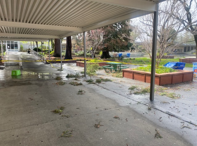 Fallen+tree+branches+litter+the+ramp+in+front+of+the+library.