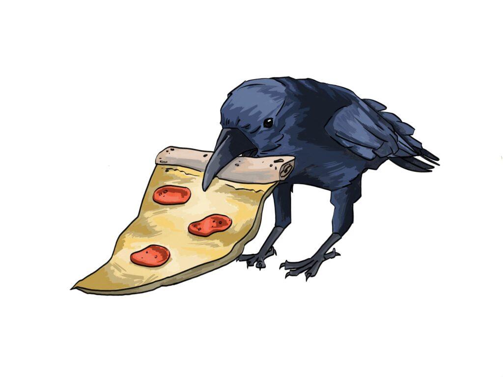 The crows especially enjoy delicacies such as pepperoni pizza.