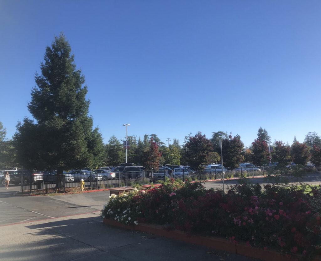 The packed school parking lot during a school day.