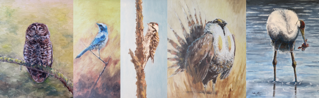 A few of Aiden’s bird paintings found on his website.