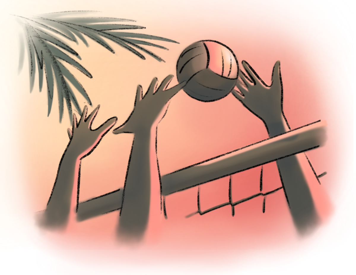 Beach volleyball is a great way to exercise and have fun with your friends.
