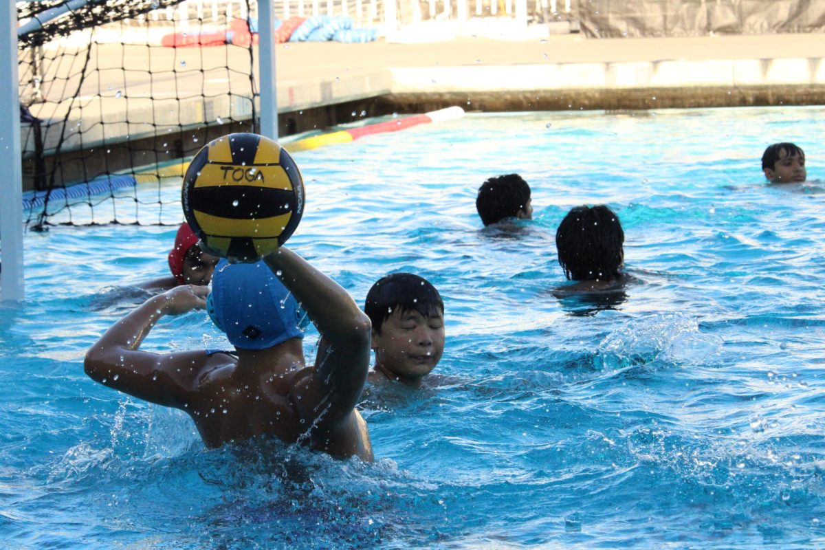 Star player Brian Le takes a shot at goalie Armon Vuppula