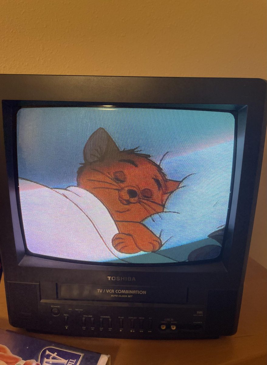 The VHS TV I watched “The Aristocats” and many other movies on.
