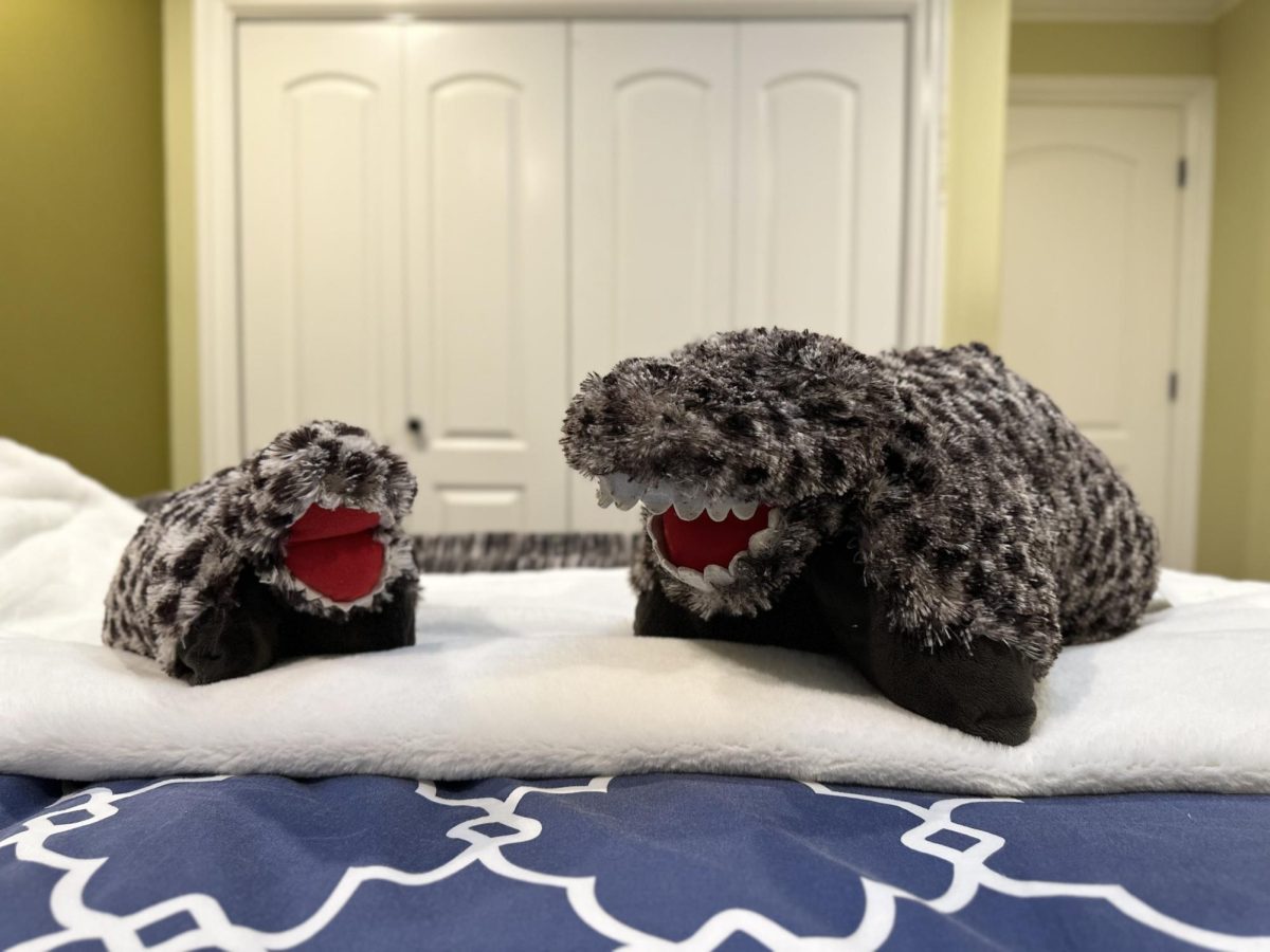 My childhood Pillow Pet, a “Pee Wee” version, is significantly smaller than my brother’s regular-sized plushie, making it the perfect size for an innocent elementary schooler.
