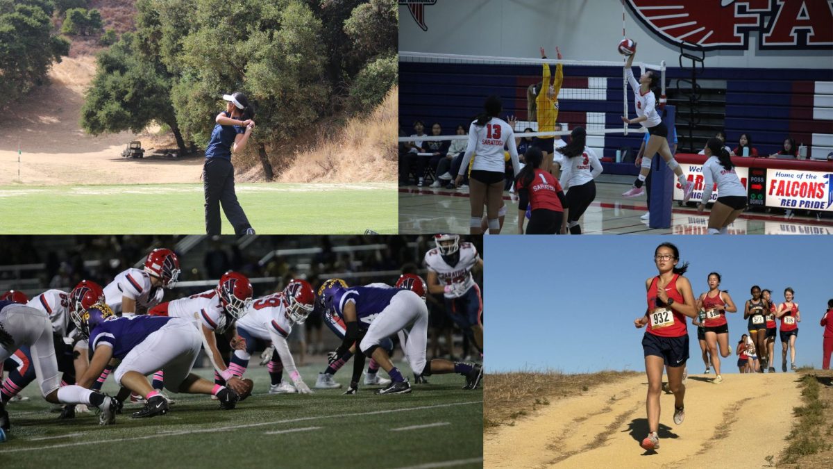 Recap of fall sports.
