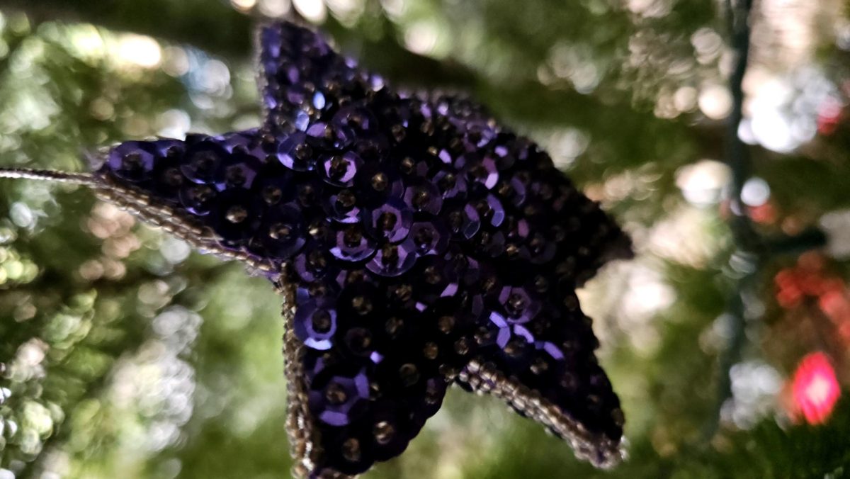 A perfect sparkly Christmas decoration to get you in the festive mood.
