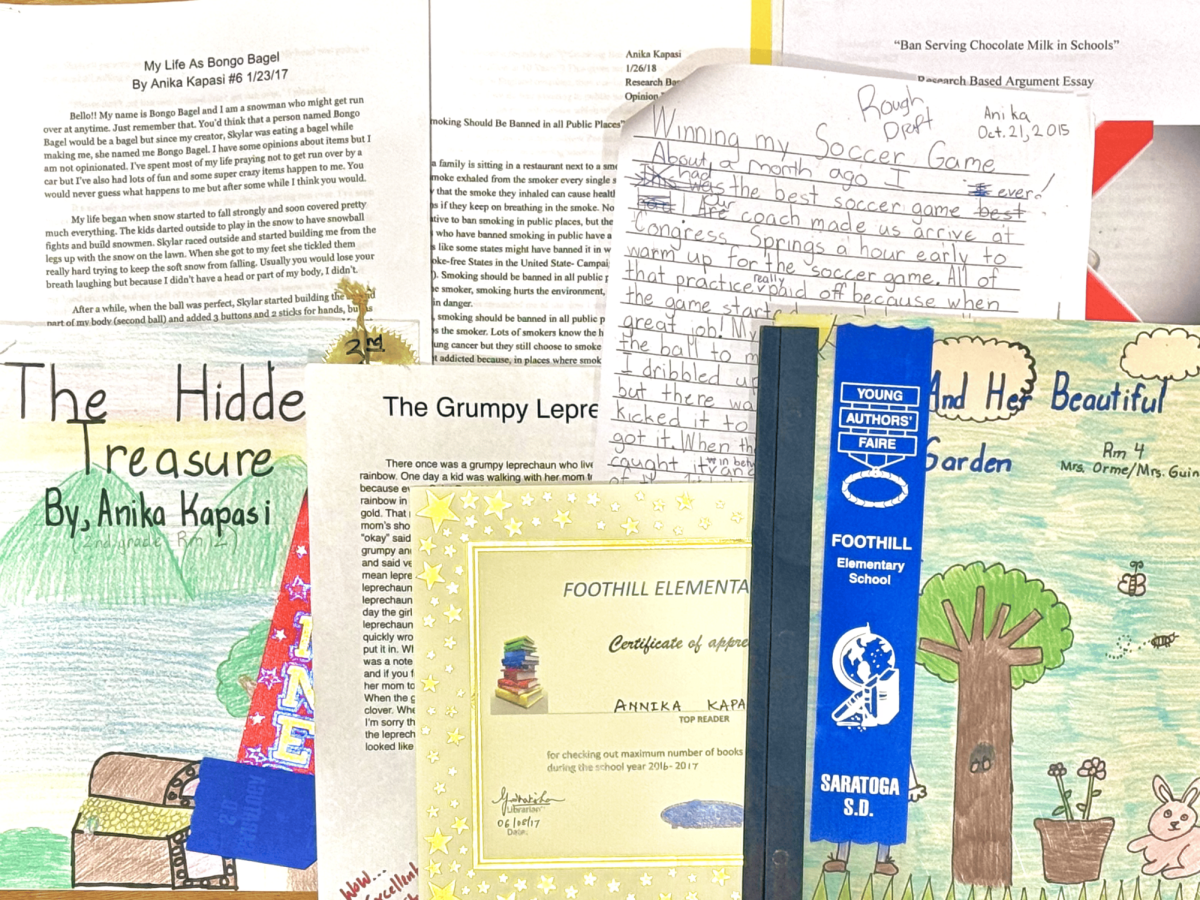 A few of my elementary school writing assignments, persuasive essays and achievements.