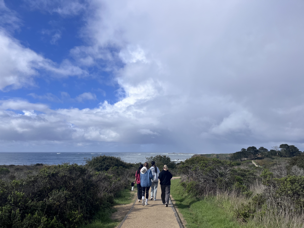 Juniors hike along the ocean view at the Año Nuevo State Park on March 13.
