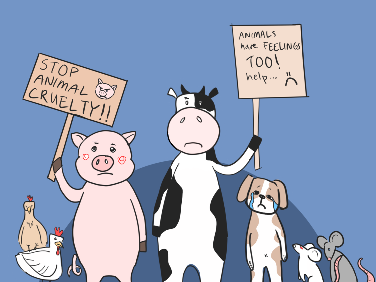 Little by little, the animal rights movement continues to grow in both support and action. 
