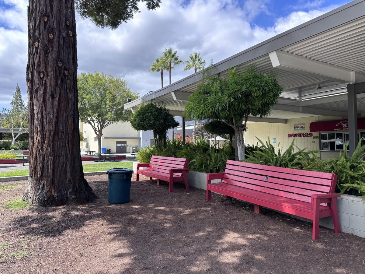 The final result of one of the groups’ work: re-painting the lunch benches.