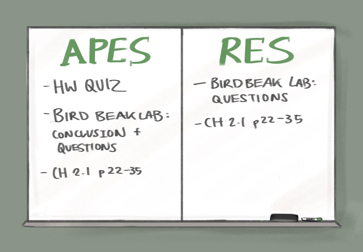 Comparison between APES and RES’ assignments