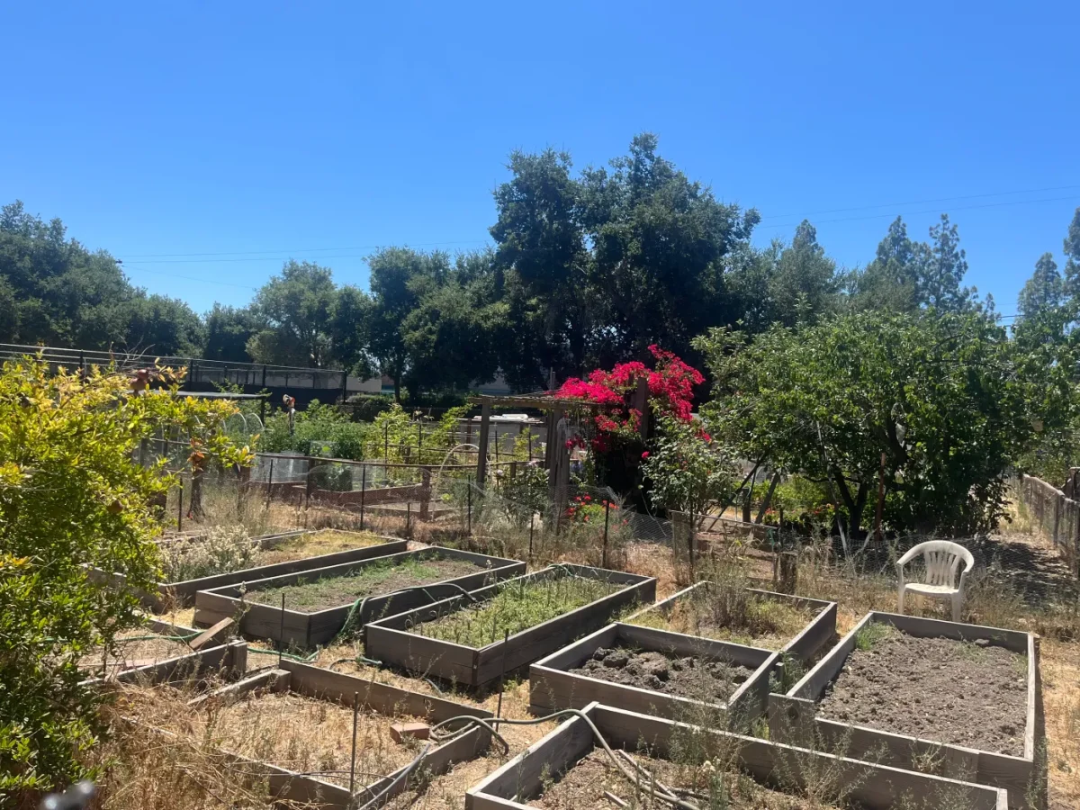 Time wore down the gardens facilities, prompting a much-needed revamp.