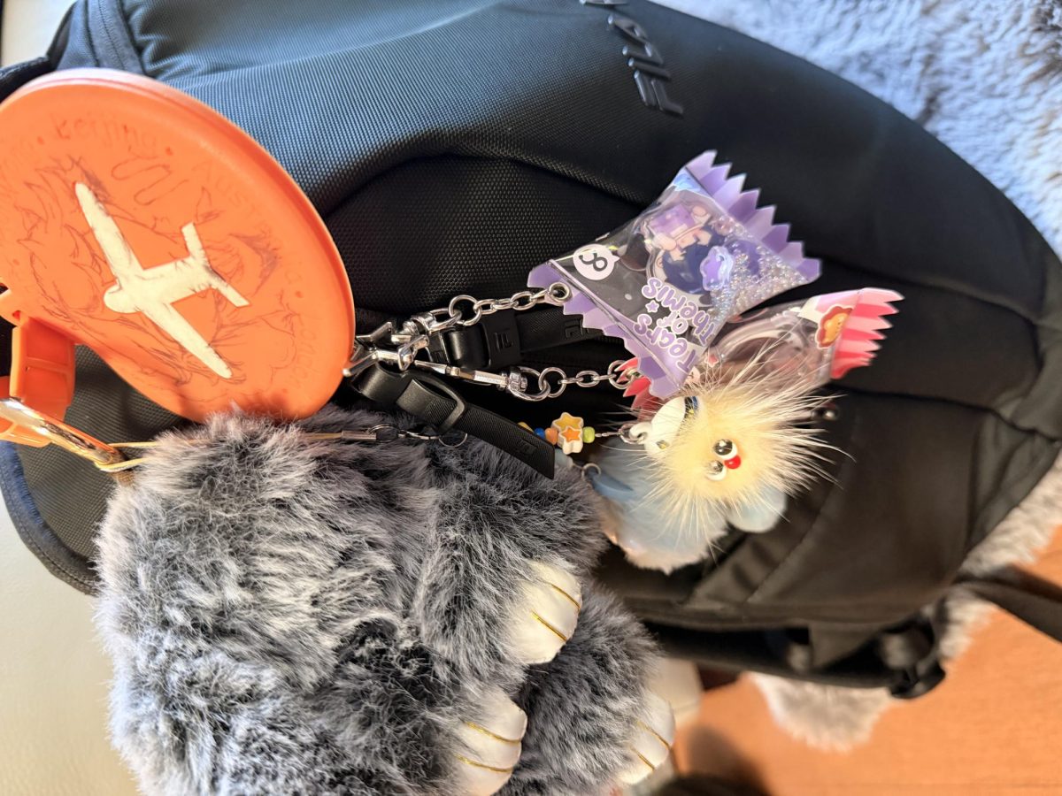 My six keychains accompany me every day.