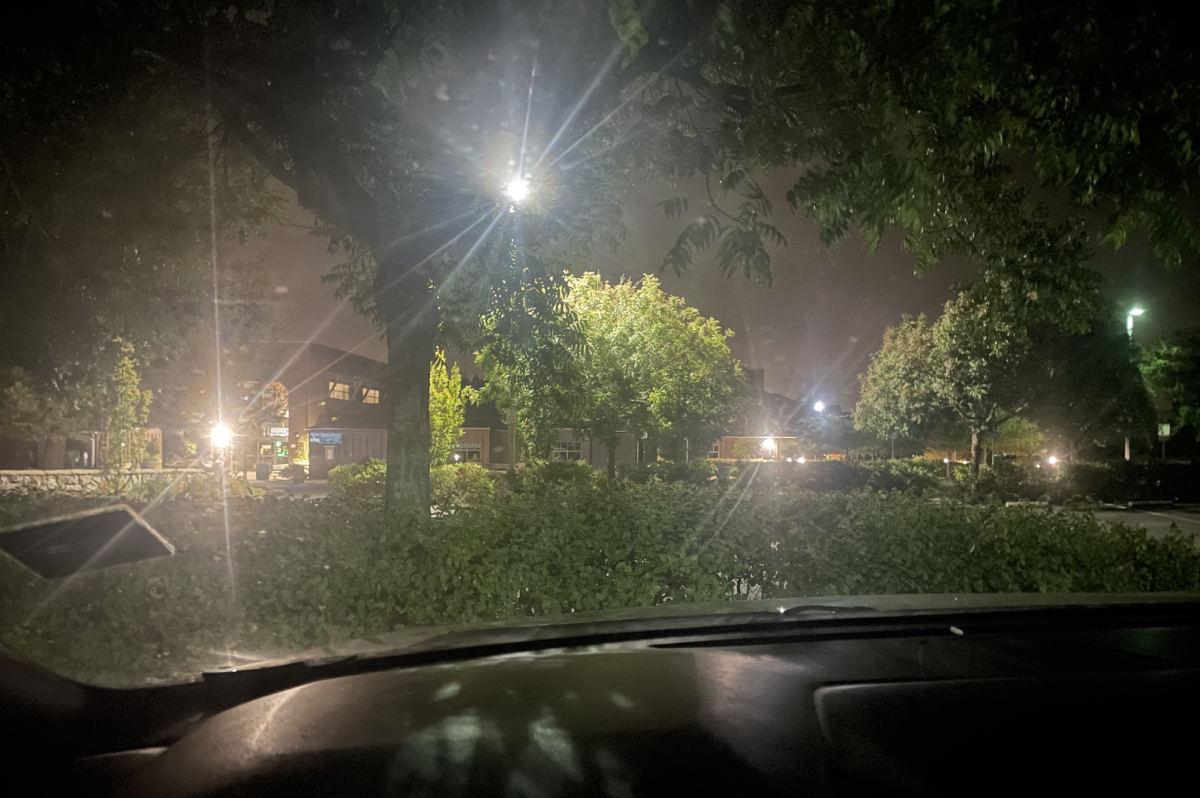 A beautiful night scene of the Saratoga Library parking lot, as I write my early action essays in the car at 12 a.m. 