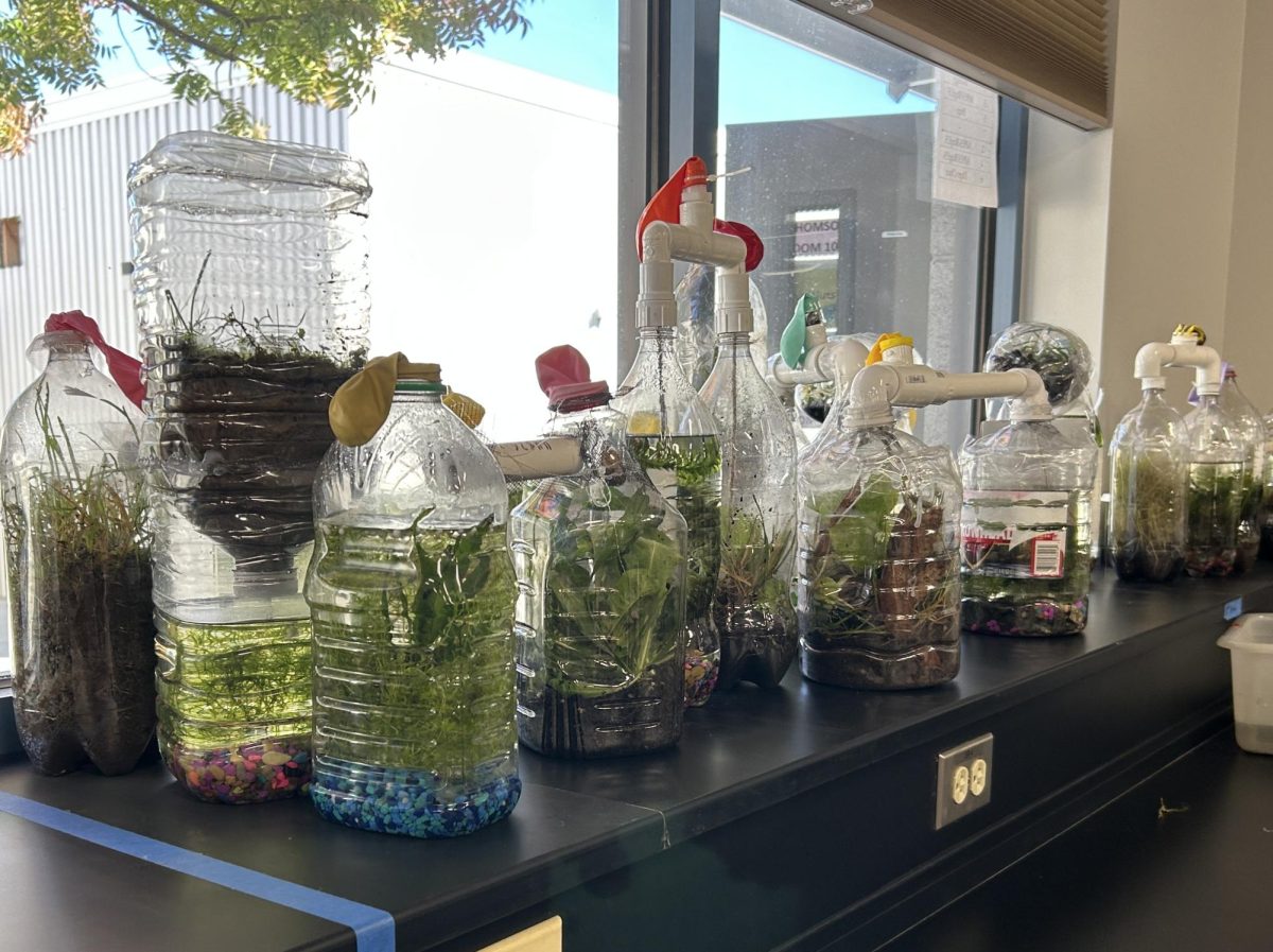 Biobottles of various shapes and sizes fill up the space in front of Room 1015’s windows. 