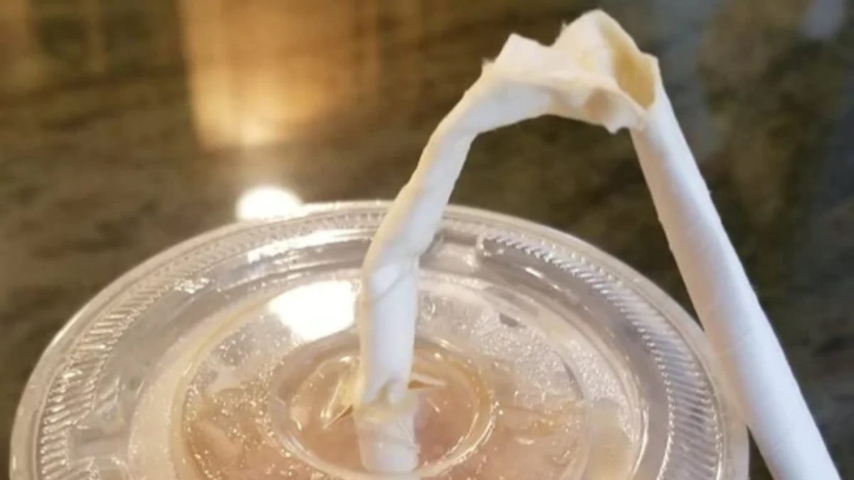 Is the “reduced impact” of paper straws worth the inconvenience?