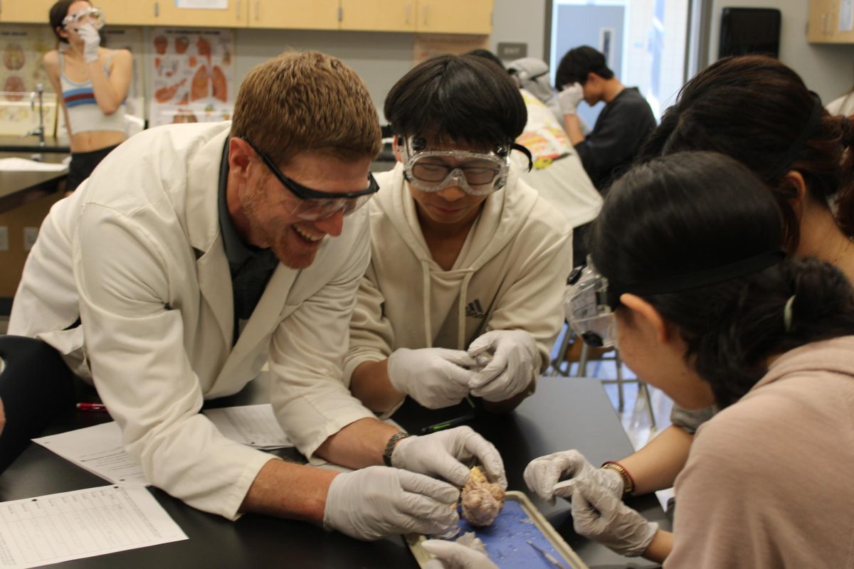Anatomy and Physiology teacher Kristofer Orre guides students during the sheep brain dissection.