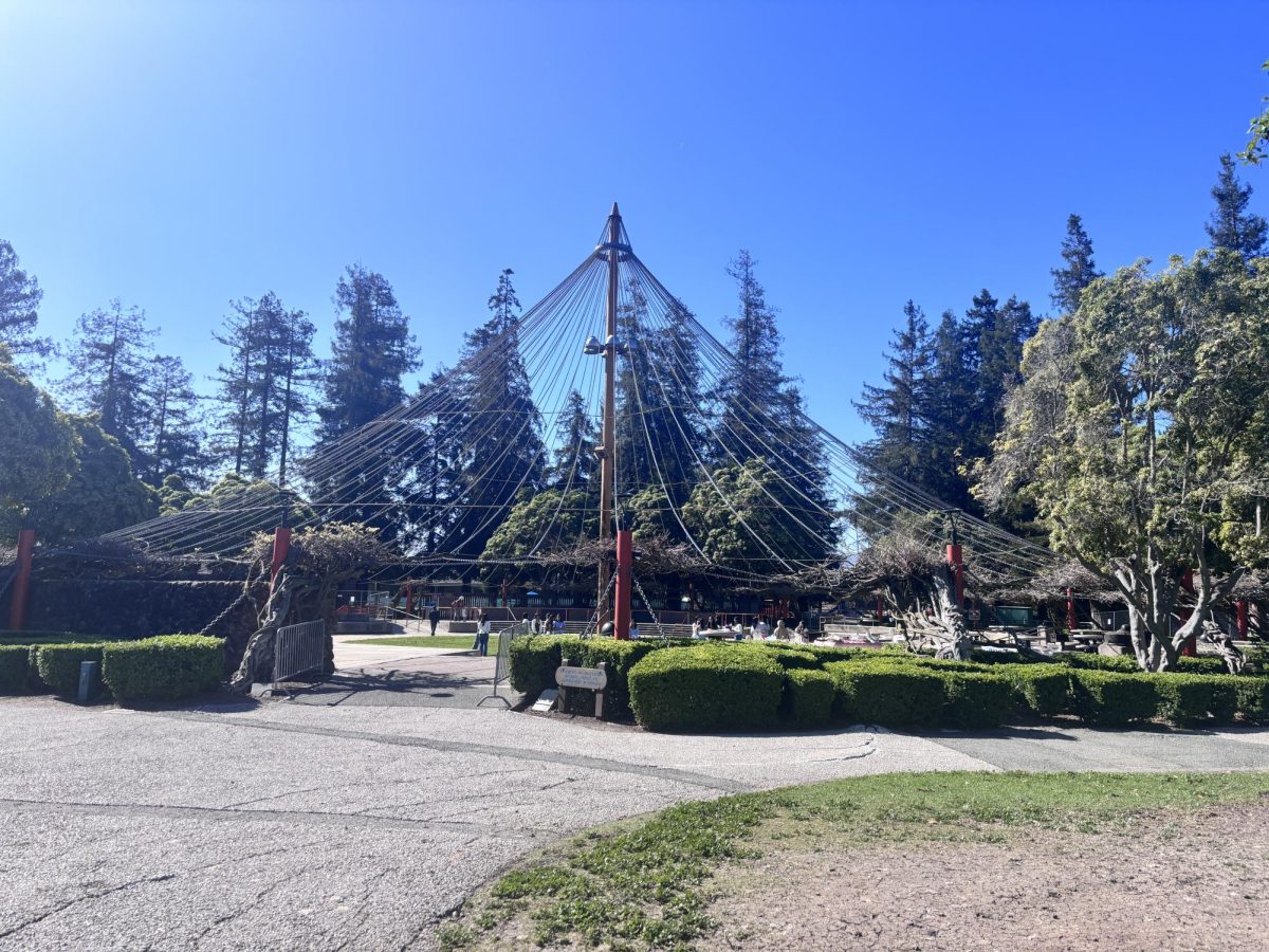 Central park features many landmarks, such as a pond, pavilion and play structure.