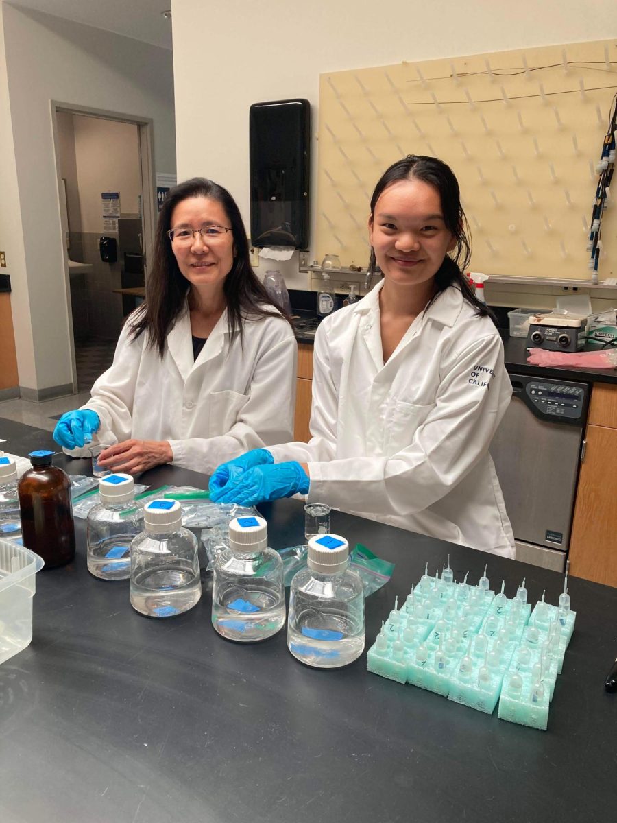  Courtesy of Cynthia Cheng

Cheng prepares the Mystery Solution Lab for AP Chemistry with her daughter — class of 24' alumna Levana Lai in the central storage area of the science wing.