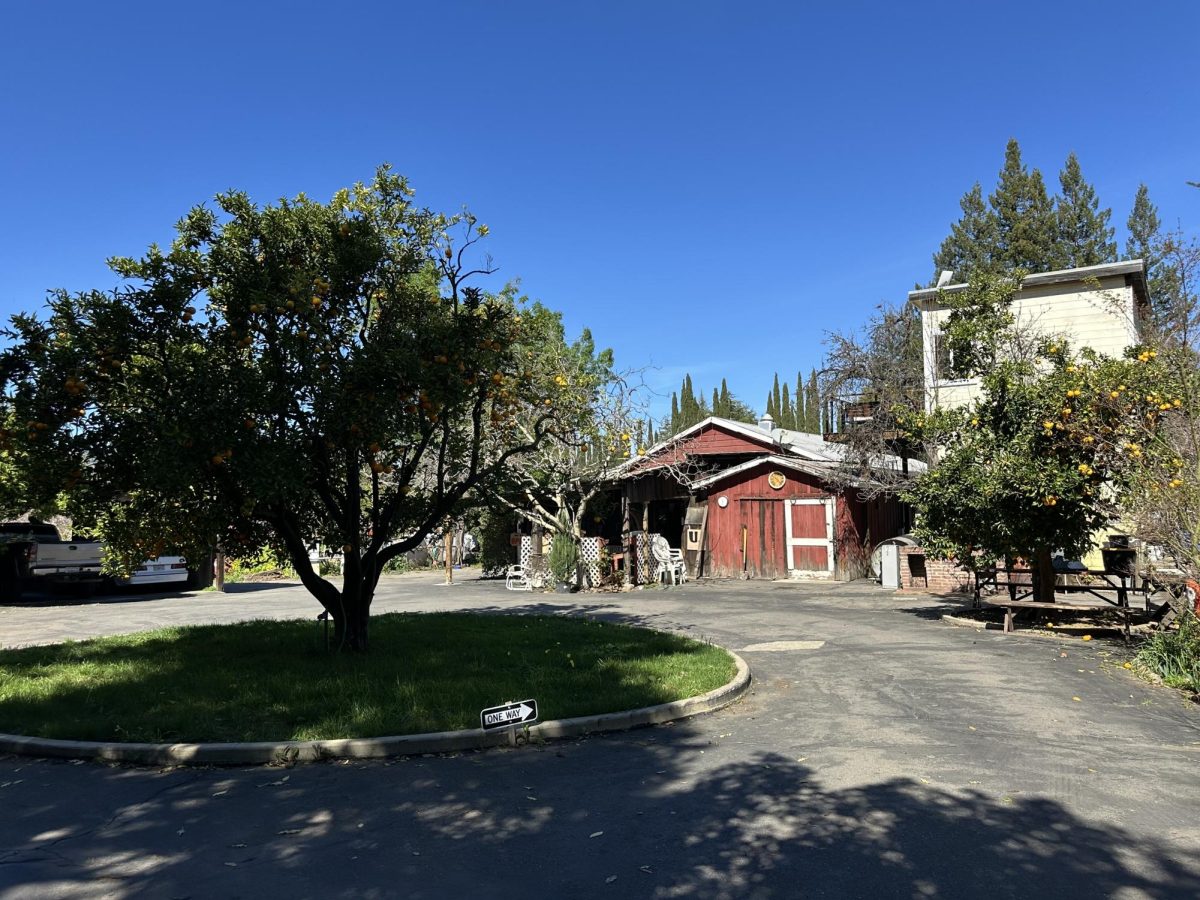 A welcoming fruit stand is nestled within Novakovich Orchards selling delicious fruits and nuts.