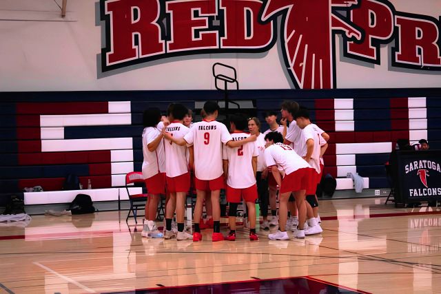 The team huddles during a timeout.