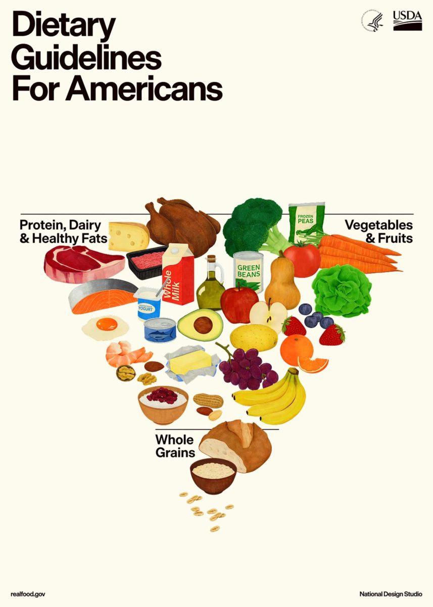  Courtesy of CNN.com
The 2025-2030 food pyramid released by the USDA.