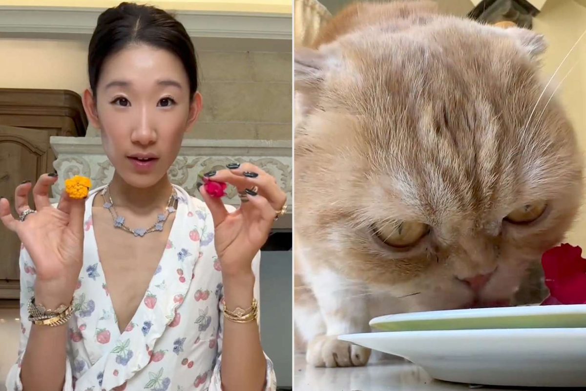  Courtesy of People
Becca Bloom, one of the most popular RichTok creators on social media, prepares a meal for her cat.