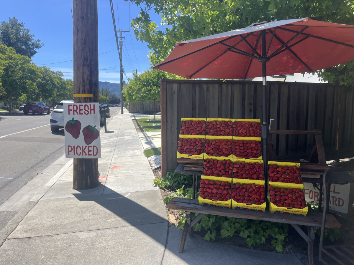 The wooden sign and vibrant strawberries never fail to attract customers.