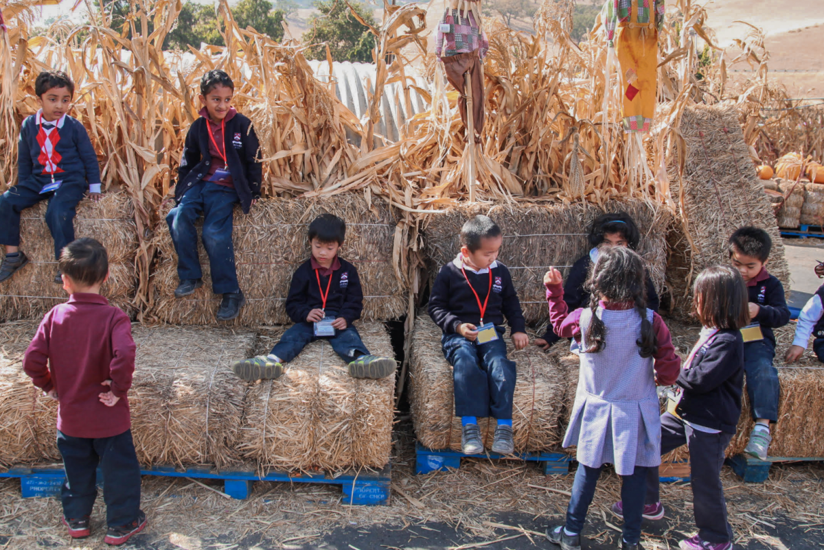  Courtesy of Liang Zhao
We sat on hay bales during a field trip in kindergarten.