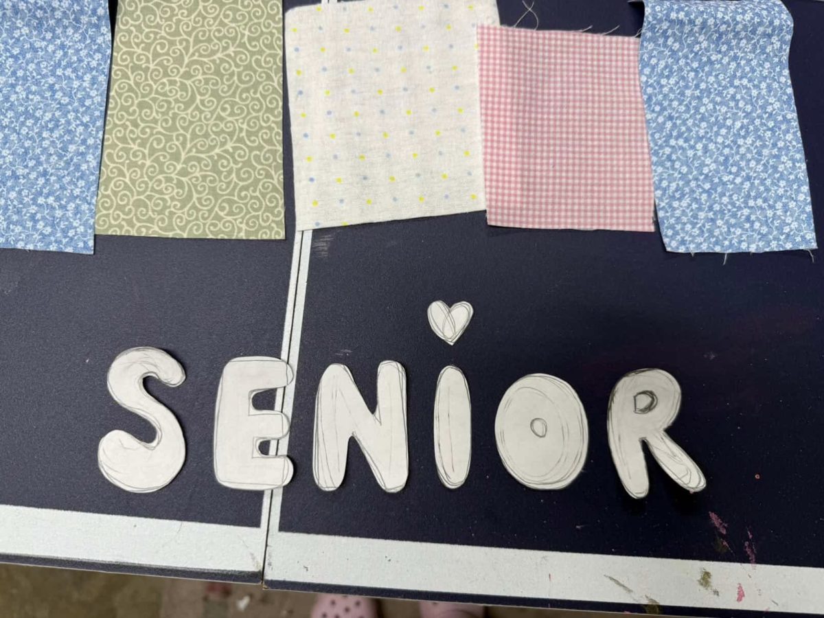  Courtesy of Sophia Faroane
Senior Sophia Faroane sewed fabric letters onto a white tee.